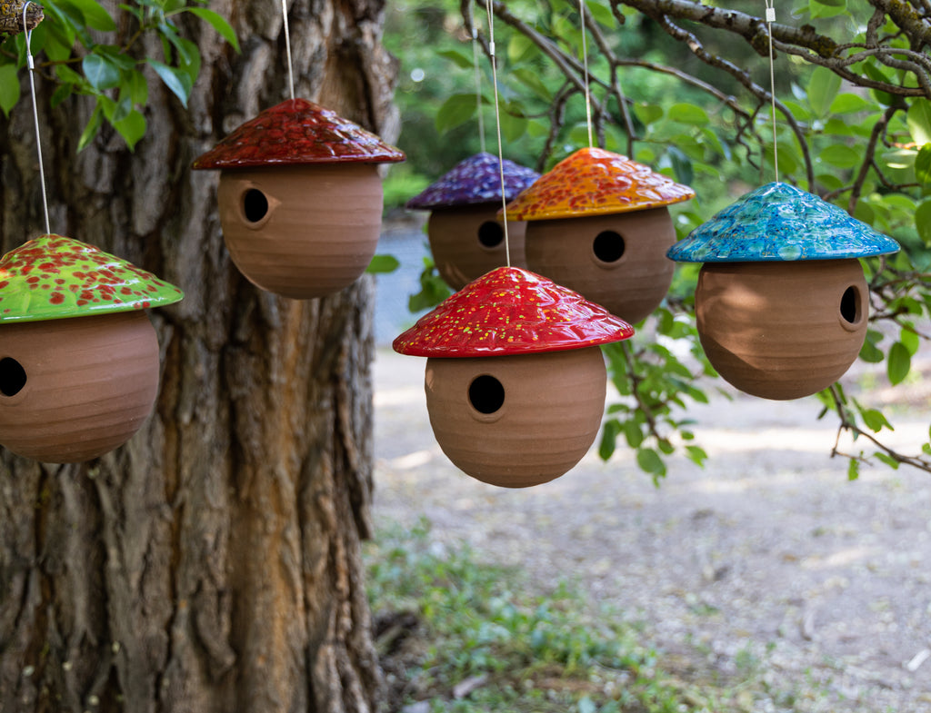 Gourd Birdhouse-Firecracker