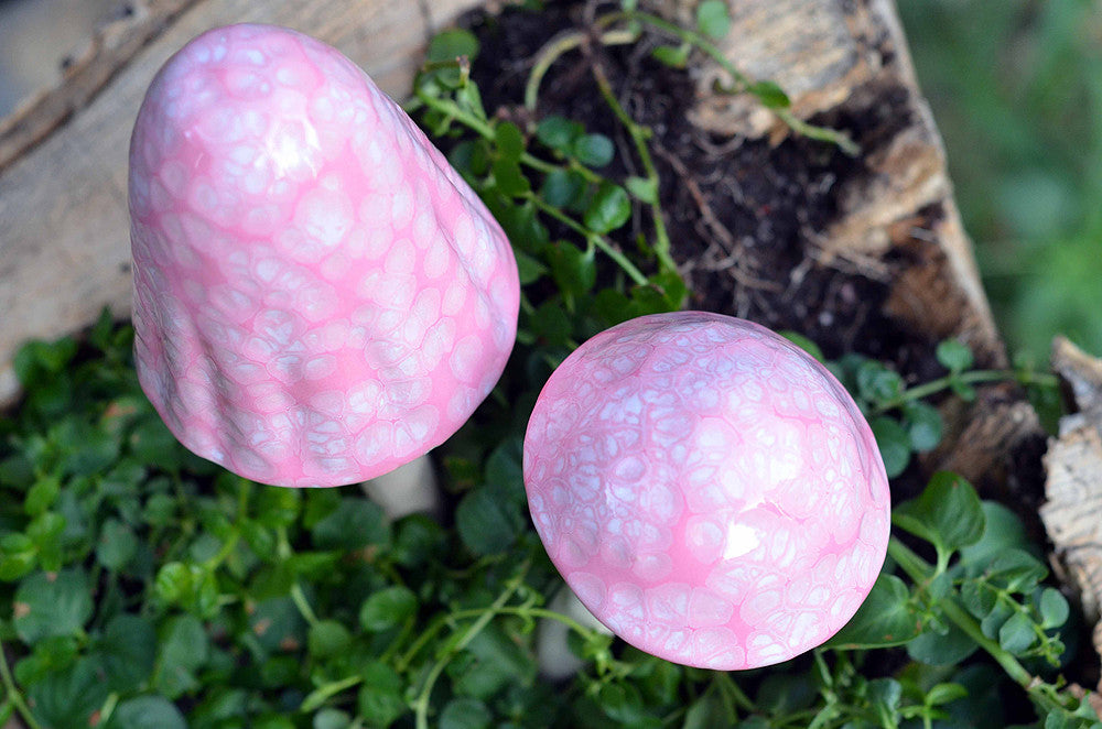 Cotton Candy - Plum Scrumptious - 1