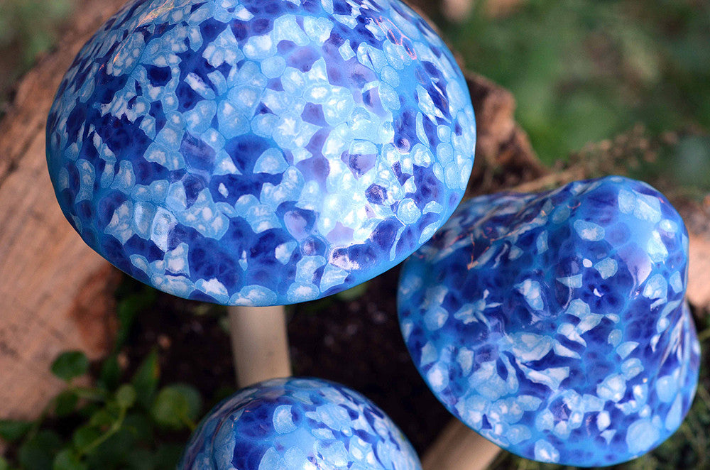 Frosty Blue - Plum Scrumptious - 1