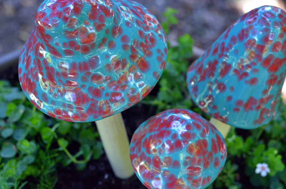 Blue Raspberry - Plum Scrumptious - 1